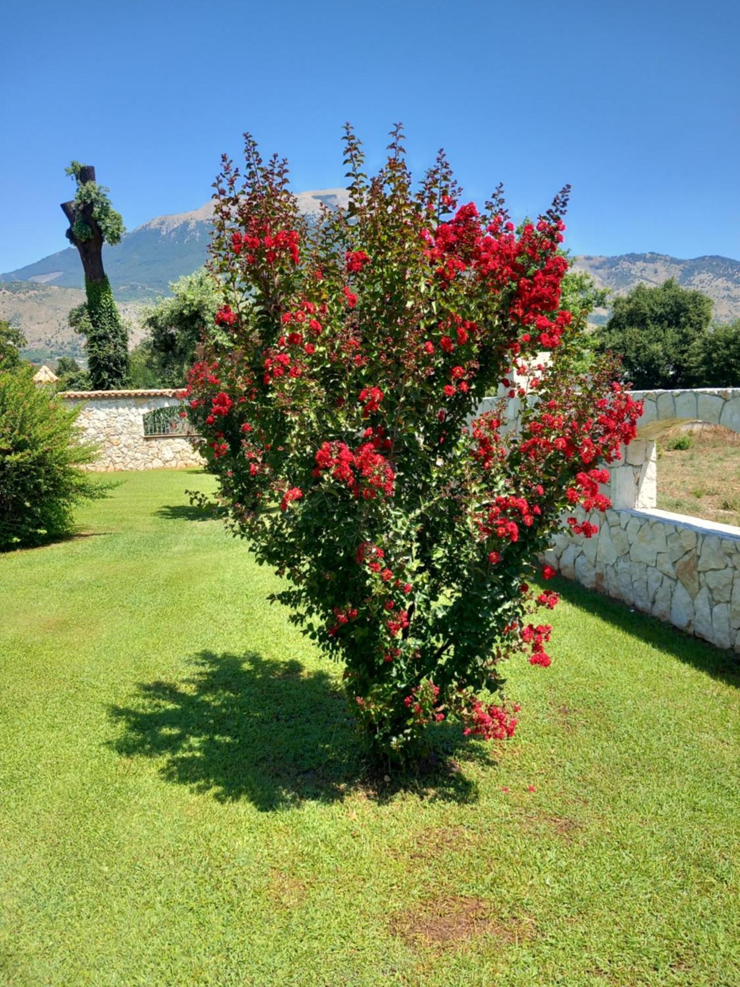 Antica Casa Scardone Villa Piedimonte San Germano ภายนอก รูปภาพ
